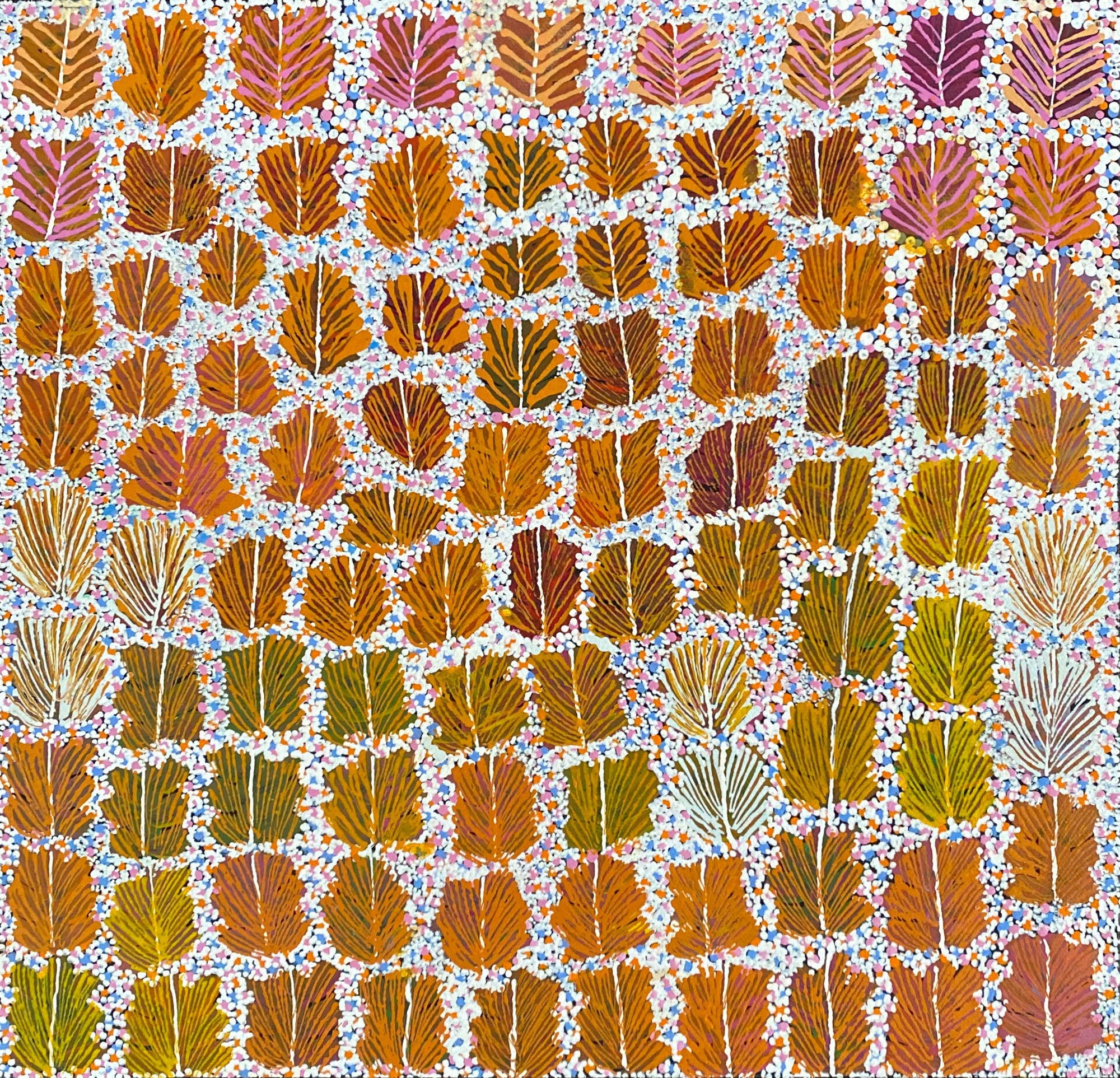 Bush Medicine by Betty Morton Pula (SOLD)