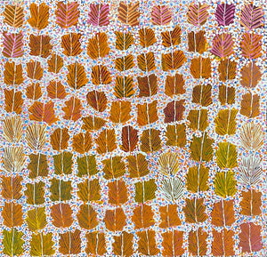 Bush Medicine by Betty Morton Pula (SOLD)