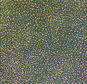Yamswurzelsamen von Amy Napangardi (VERKAUFT)