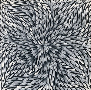 Yamswurzelblume von Dulcie Pwerle Long | Gestreckt