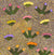 Bush Medicine by Sandra Teece | Stretched (SOLD)