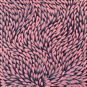 Yamswurzelblume von Dulcie Pwerle | Gestreckt (VERKAUFT)