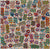 Bush Medicine by Joycie Morton Petyarre | STRETCHED (SOLD)