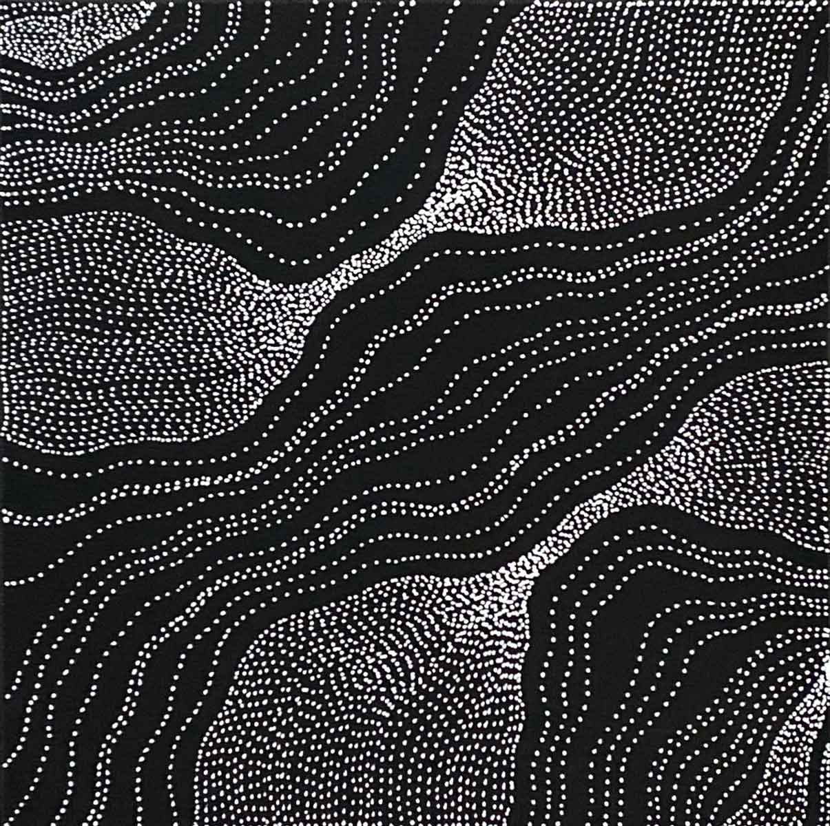 My Country by Delvine Petyarre (SOLD)