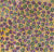 Bush Seed by Julie Pengarte