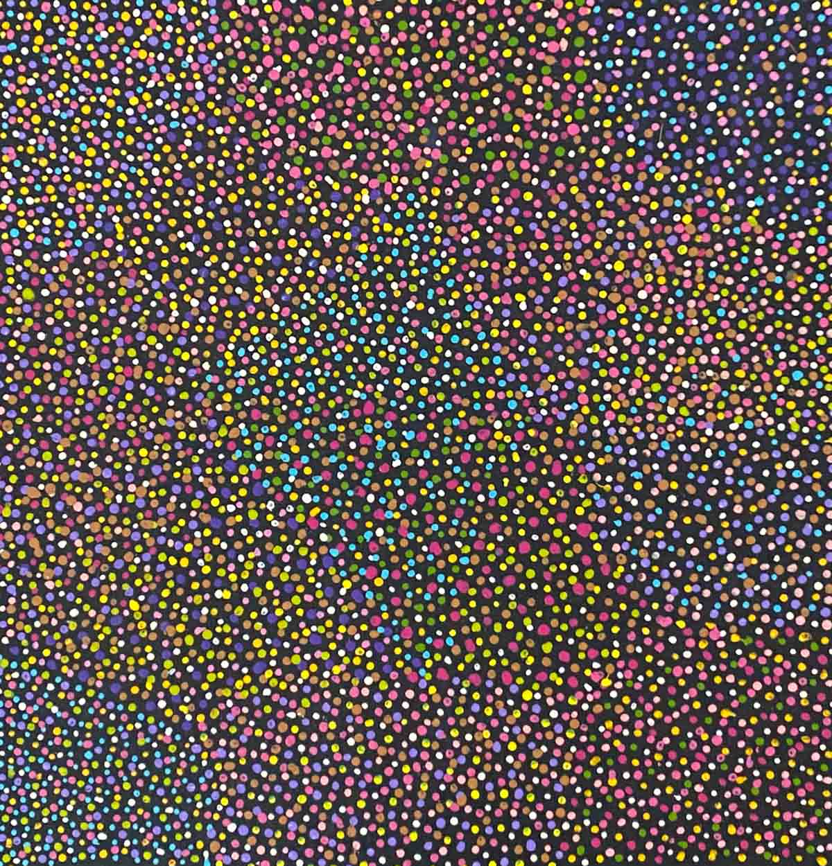 Yam Seed by Amy Napangardi