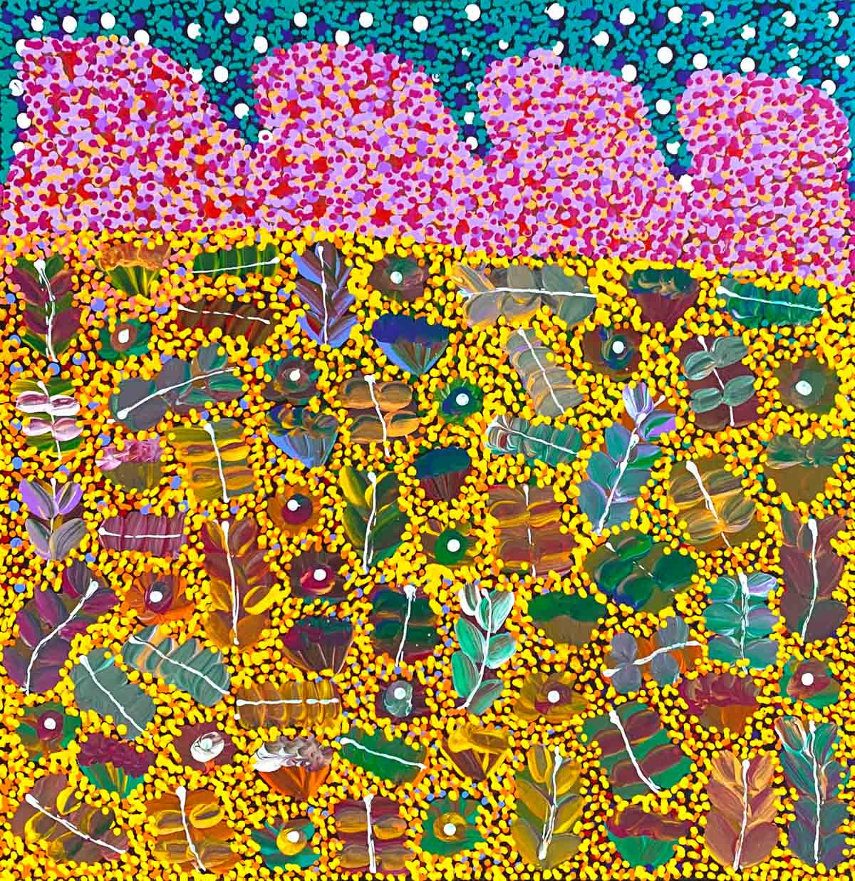 Bush Medicine by Joycie Morton Petyarre NEW