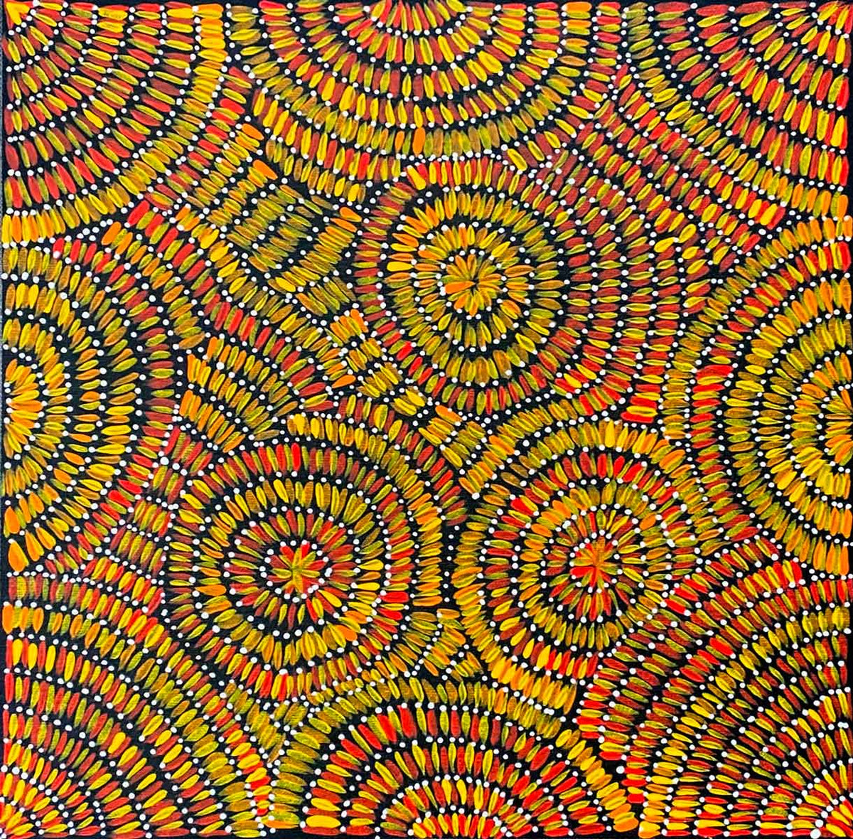 Corkwood Honey by Doreen Kunoth NEW