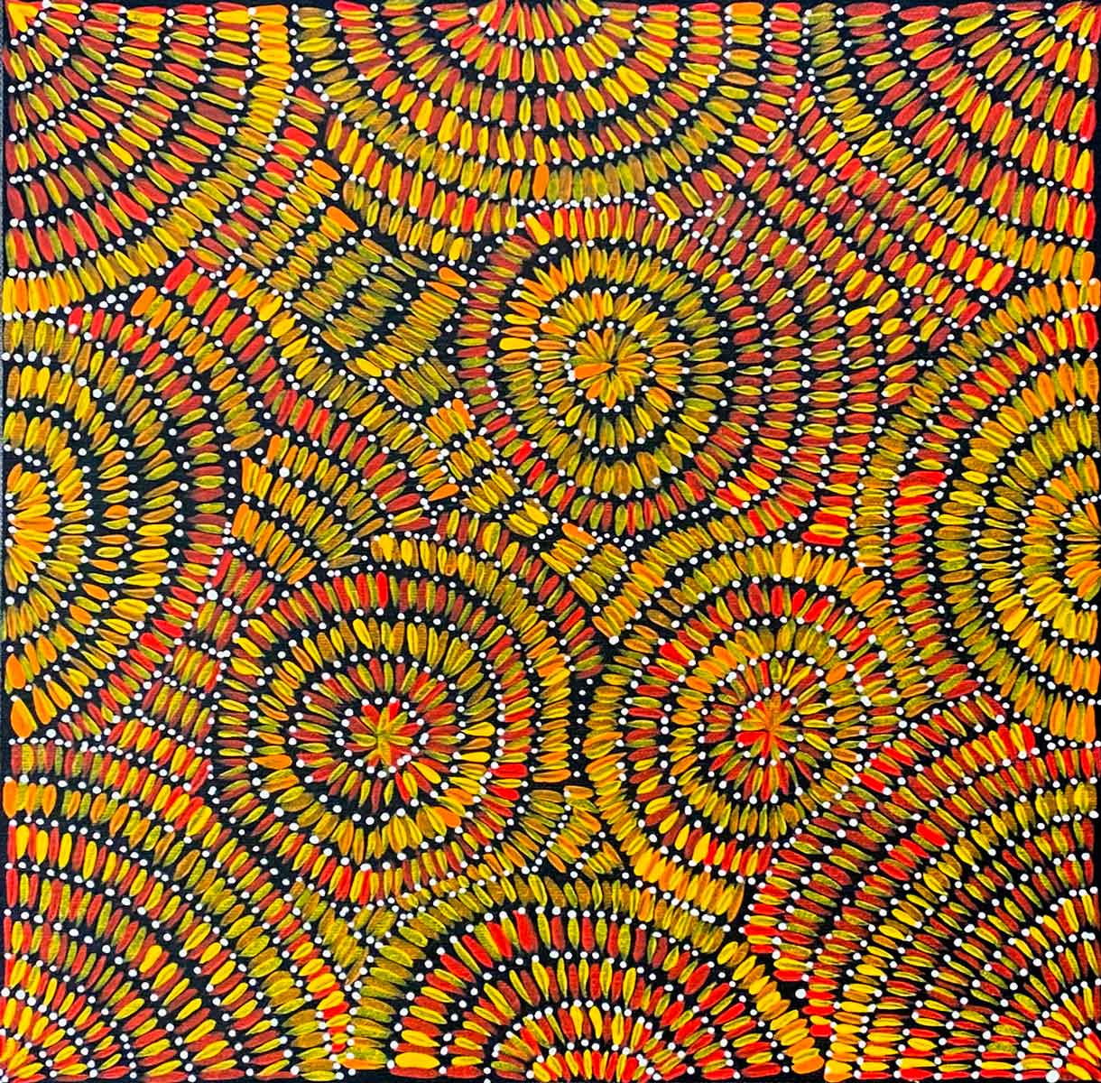 Corkwood Honey by Doreen Kunoth NEW