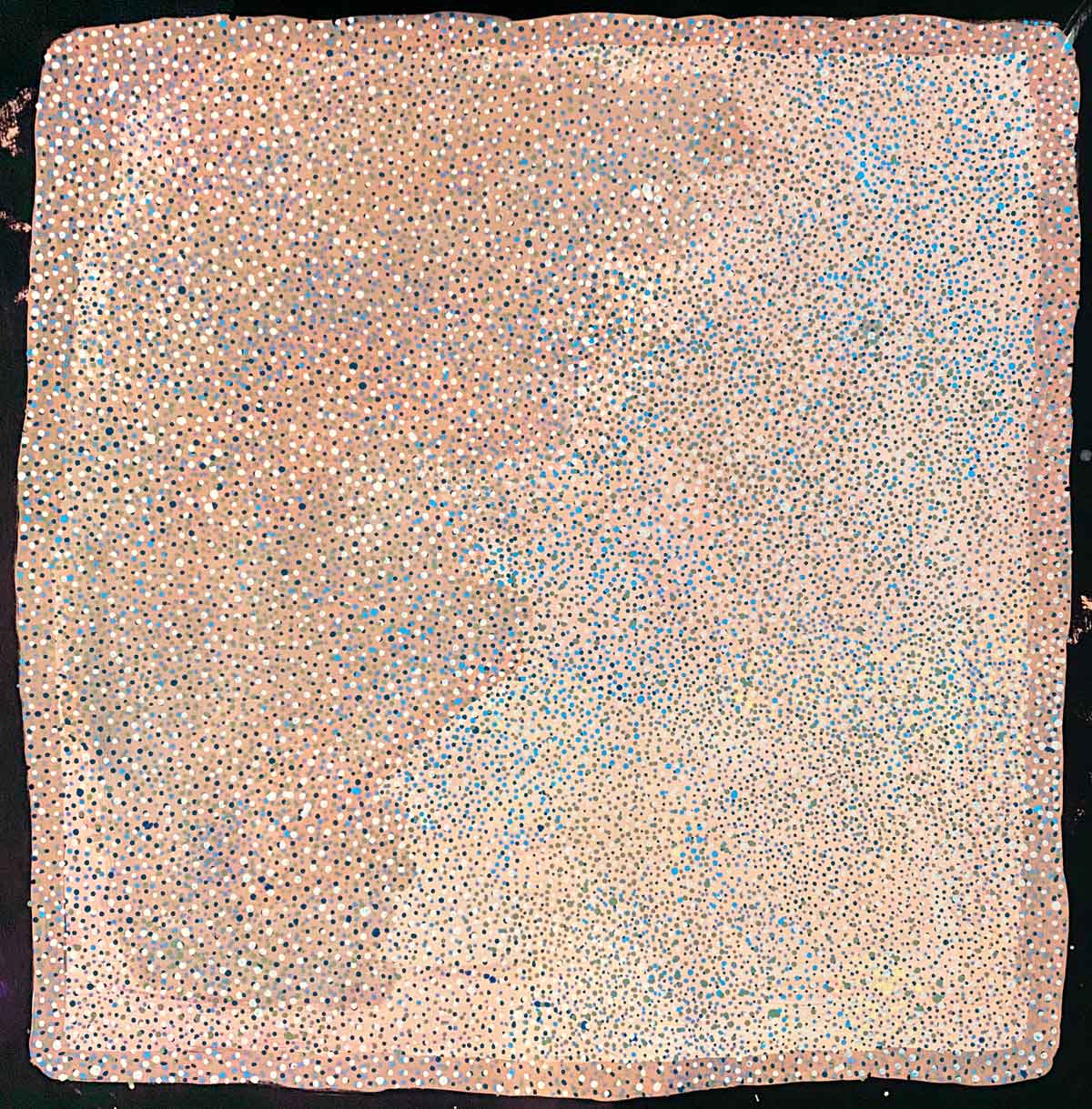 Conkerberry by Kate Petyarre (SOLD)