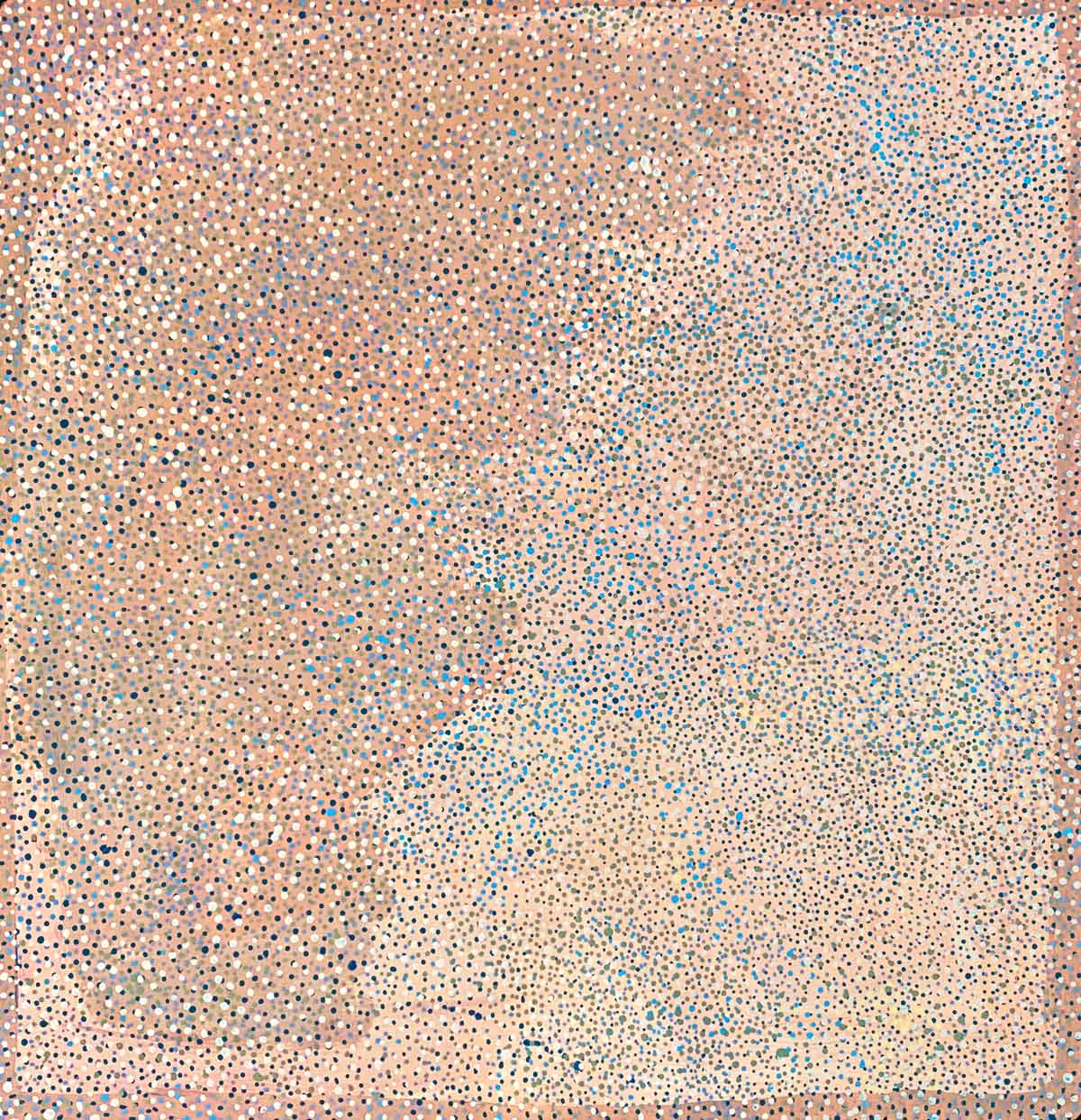 Conkerberry by Kate Petyarre (SOLD)