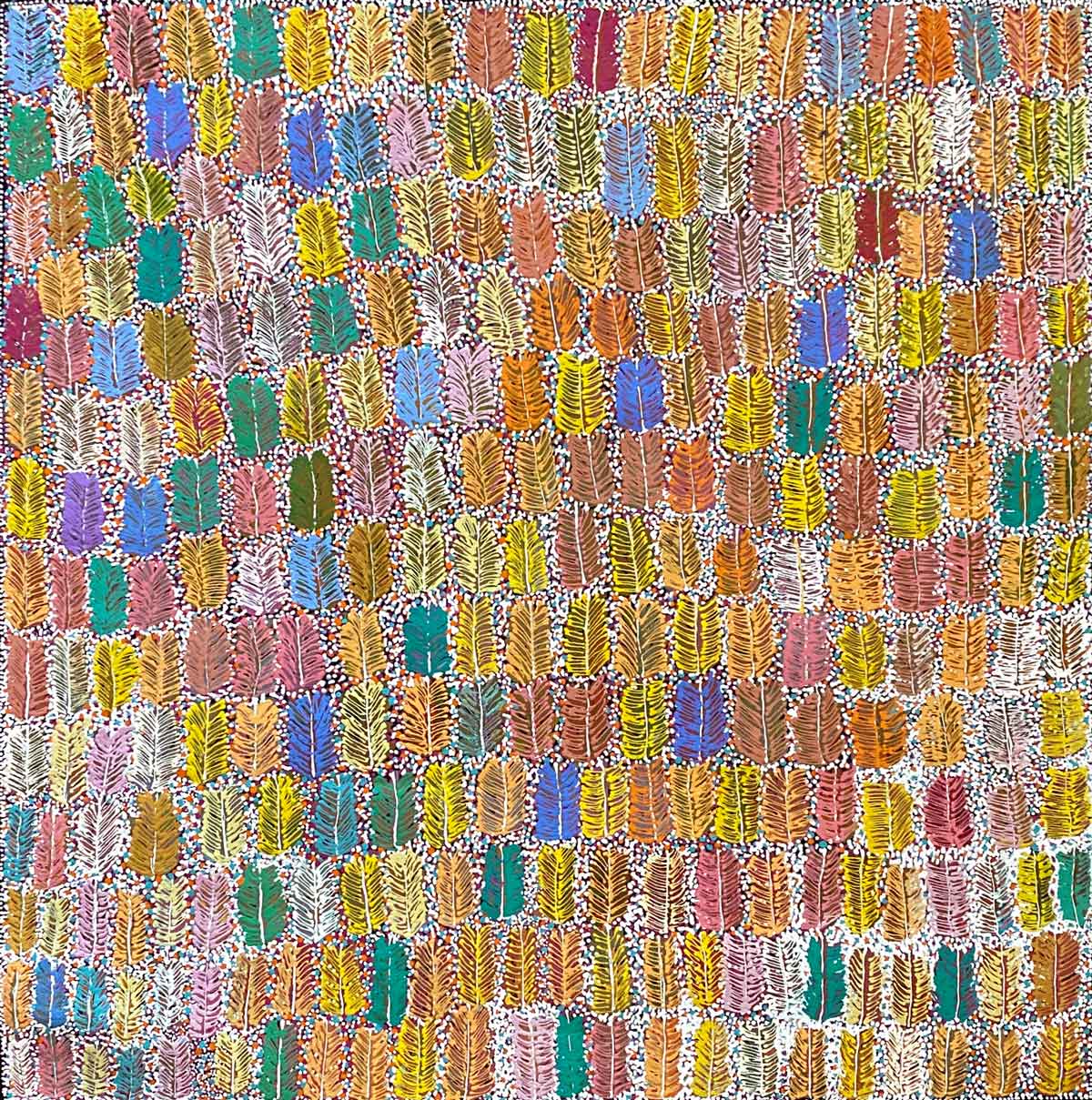 Bush Medicine by Betty Morton