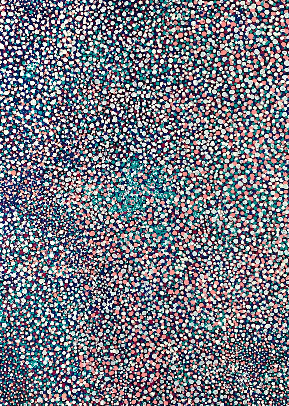 Conkerberry by Kate Petyarre