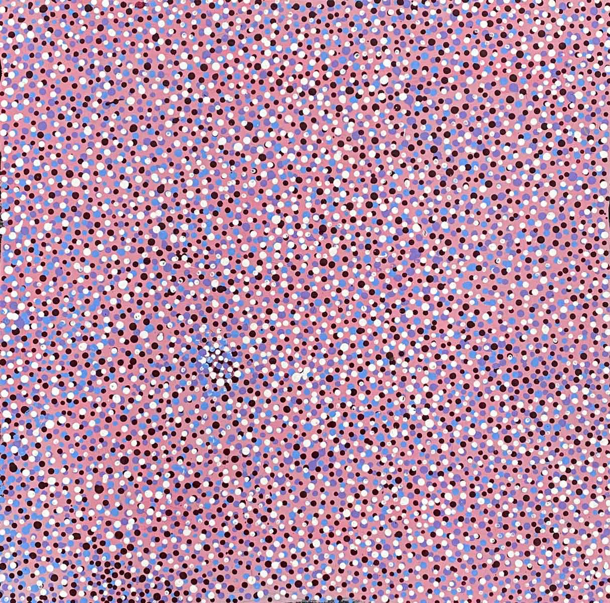 Conkerberry by Kate Petyarre