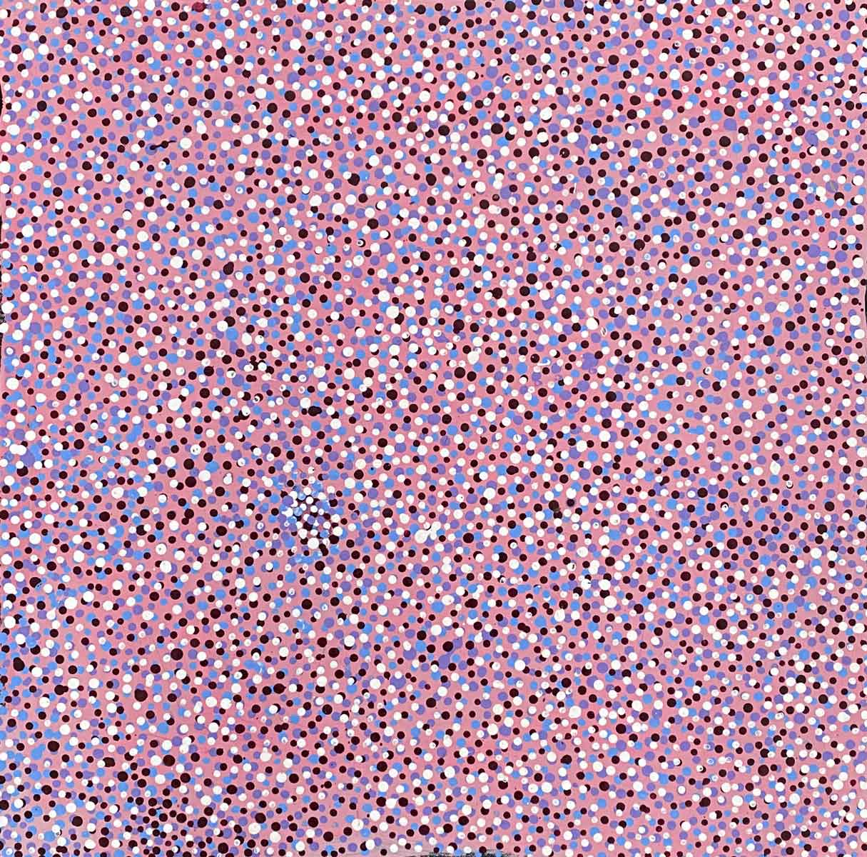 Conkerberry von Kate Petyarre