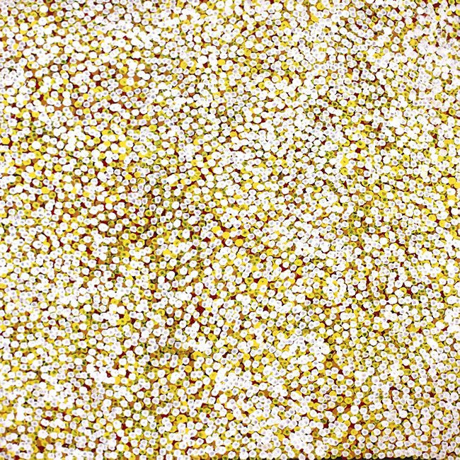 Anwekety (Conkerberry) by Polly Ngale, 90cm x 90cm. Aboriginal Painting. #AboriginalArt #UtopiaLane