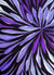 Wild Flowers by Sacha Long Petyarre, 20cm x 10cm. Aboriginal Painting. #AboriginalArt #UtopiaLane