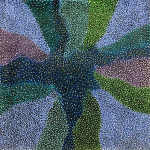 Bush Plum Dreaming by Josie Petrick Kemarre by Josie (Josepha) Petrick, 30cm x 30cm. Australian Aboriginal Art.