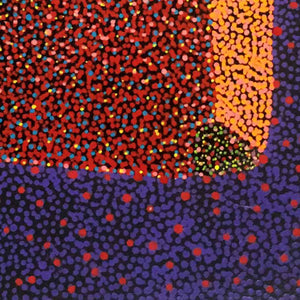 Bush Plum Dreaming by Josie Petrick Kemarre by Josie (Josepha) Petrick, 30cm x 30cm. Australian Aboriginal Art.