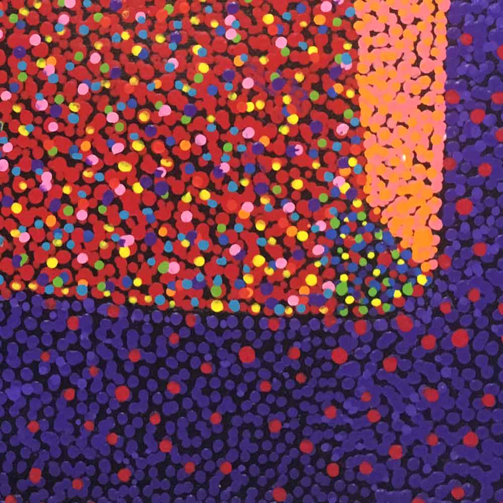 Bush Plum Dreaming by Josie Petrick Kemarre by Josie (Josepha) Petrick, 30cm x 30cm. Australian Aboriginal Art.