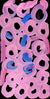 Awely Atnwengerrp by Minnie Pwerle by Minnie Pwerle, 30cm x 15cm. Australian Aboriginal Art.