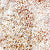 Superimposed dotwork in earthy colours are heavily subdued by a cottony white overlay making this oversized painting something remarkably soft and special by Polly Ngale, who is almost 80 years of age. A timeless piece.