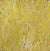 Grass Seed Dreaming by Barbara Weir, 30cm x 30cm. Aboriginal Painting. #AboriginalArt #UtopiaLane