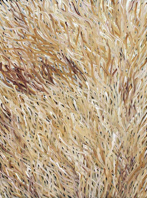Grass Seed Dreaming by Barbara Weir by Barbara Weir, 60cm x 45cm. Australian Aboriginal Art.