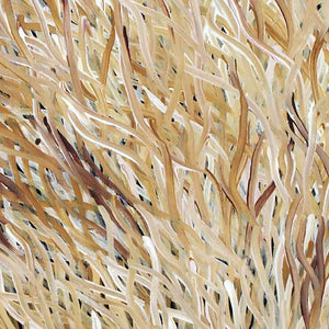 Grass Seed Dreaming by Barbara Weir by Barbara Weir, 60cm x 45cm. Australian Aboriginal Art.