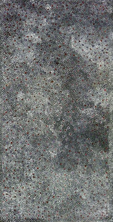 Anwekety (Conkerberry) by Elizabeth Mpetyane (SOLD), 120cm x 60cm. Aboriginal Painting. #AboriginalArt #UtopiaLane