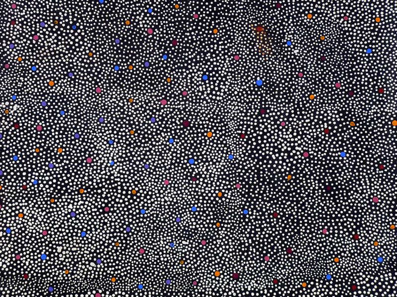 Anwekety (Conkerberry) by Elizabeth Mpetyane, 120cm x 90cm. Aboriginal Painting. #AboriginalArt #UtopiaLane