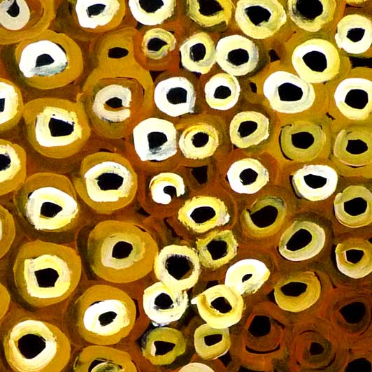 Soakage by Lena Pwerle by Lena Pwerle, 180cm x 60cm. Australian Aboriginal Art.