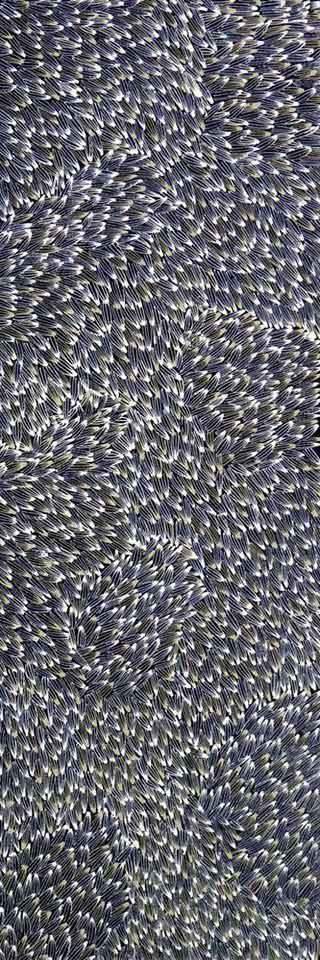 Bush Medicine by Abie Loy Kemarre, 90cm x 30cm. Aboriginal Painting. #AboriginalArt #UtopiaLane