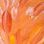 Leaves by Gloria Petyarre by Gloria Petyarre, 60cm x 30cm. Australian Aboriginal Art.
