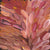 Leaves by Gloria Petyarre, 45cm x 45cm. Aboriginal Painting. #AboriginalArt #UtopiaLane
