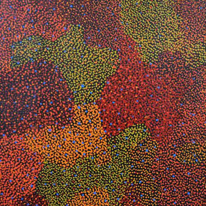 Bush Plum Dreaming by Josie Petrick Kemarre by Josie (Josepha) Petrick, 120cm x 60cm. Australian Aboriginal Art.