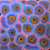 Soakage by Lena Pwerle (SOLD), 30cm x 30cm. Aboriginal Painting. #AboriginalArt #UtopiaLane