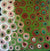 Soakage by Lena Pwerle (SOLD), 30cm x 30cm. Aboriginal Painting. #AboriginalArt #UtopiaLane