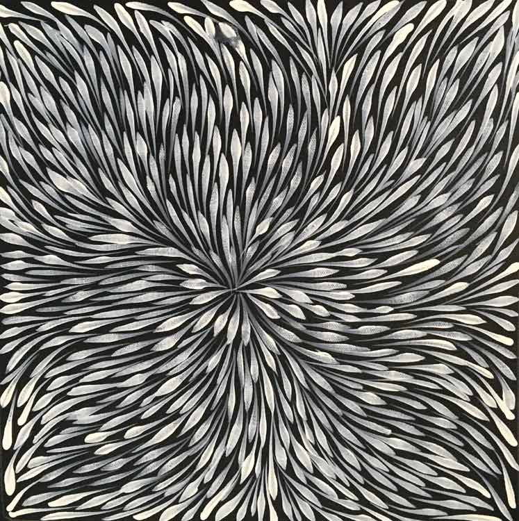 Wild Flowers by Sacha Long Petyarre (SOLD), 30cm x 30cm. Aboriginal Painting. #AboriginalArt #UtopiaLane