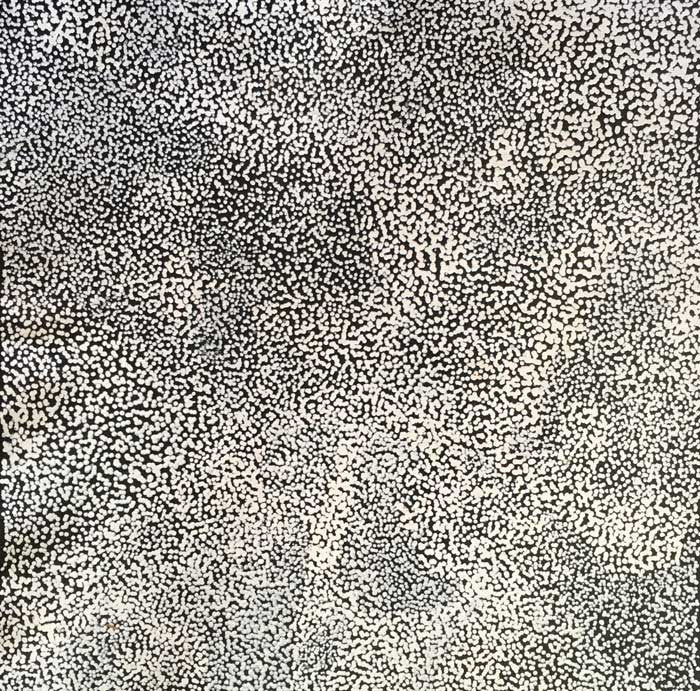Anwekety (Conkerberry) by Elizabeth Mpetyane (SOLD), 30cm x 30cm. Aboriginal Painting. #AboriginalArt #UtopiaLane