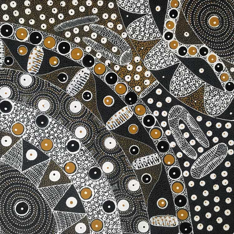 Awelye for Alpar Seed, Bush Plum & Mulga Seed by Alvira Bird (SOLD), 30cm x 30cm. Aboriginal Painting. #AboriginalArt #UtopiaLane