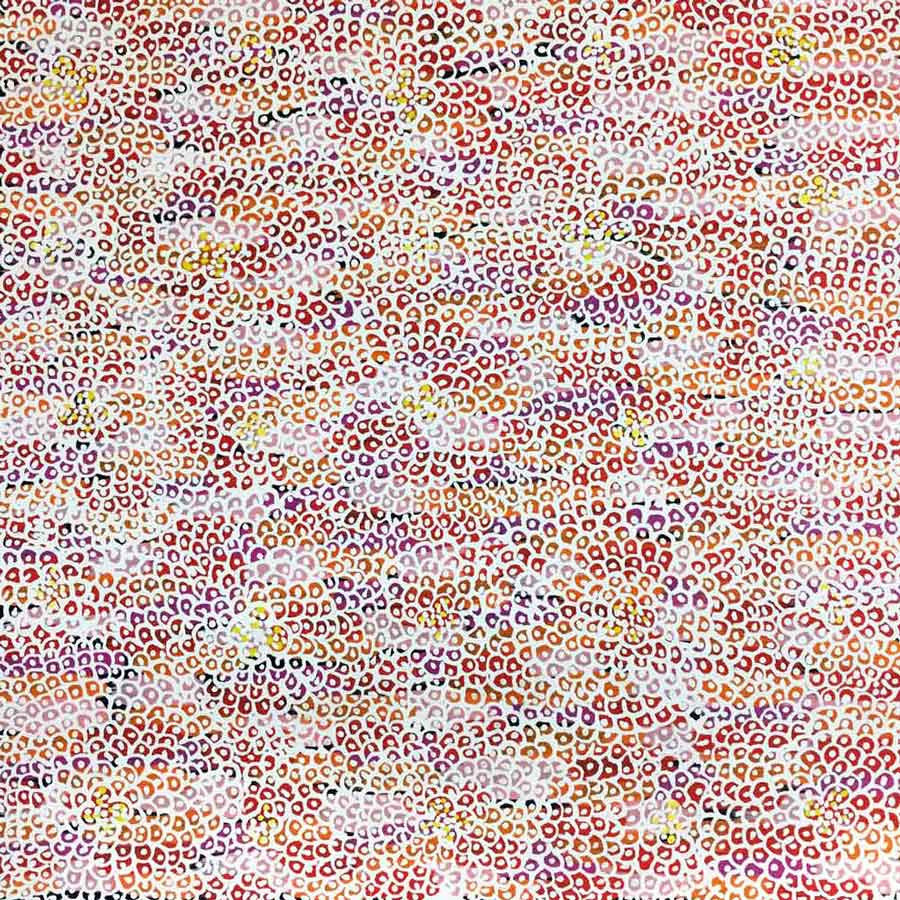 Ilyarnayt by Michelle Lion Kngwarrey, 30cm x 30cm. Aboriginal Painting. #AboriginalArt #UtopiaLane