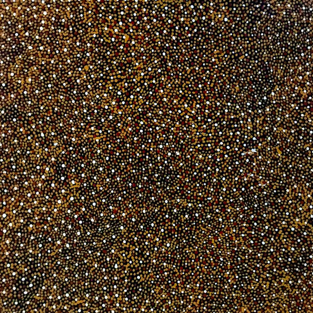 Honey Ant Dreaming by Connie Petyarre, 30cm x 30cm. Aboriginal Painting. #AboriginalArt #UtopiaLane