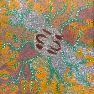 Tharrkarr (Honey Grevillea) by Doreen Payne Petyarre by Doreen Payne Petyarre, 30cm x 30cm. Australian Aboriginal Art.