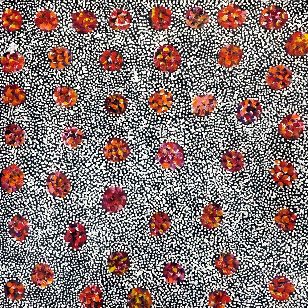 Anaty (Desert Yam) by Jean Mills Pwerle by Jean Mills Pwerle, 30cm x 30cm. Australian Aboriginal Art.