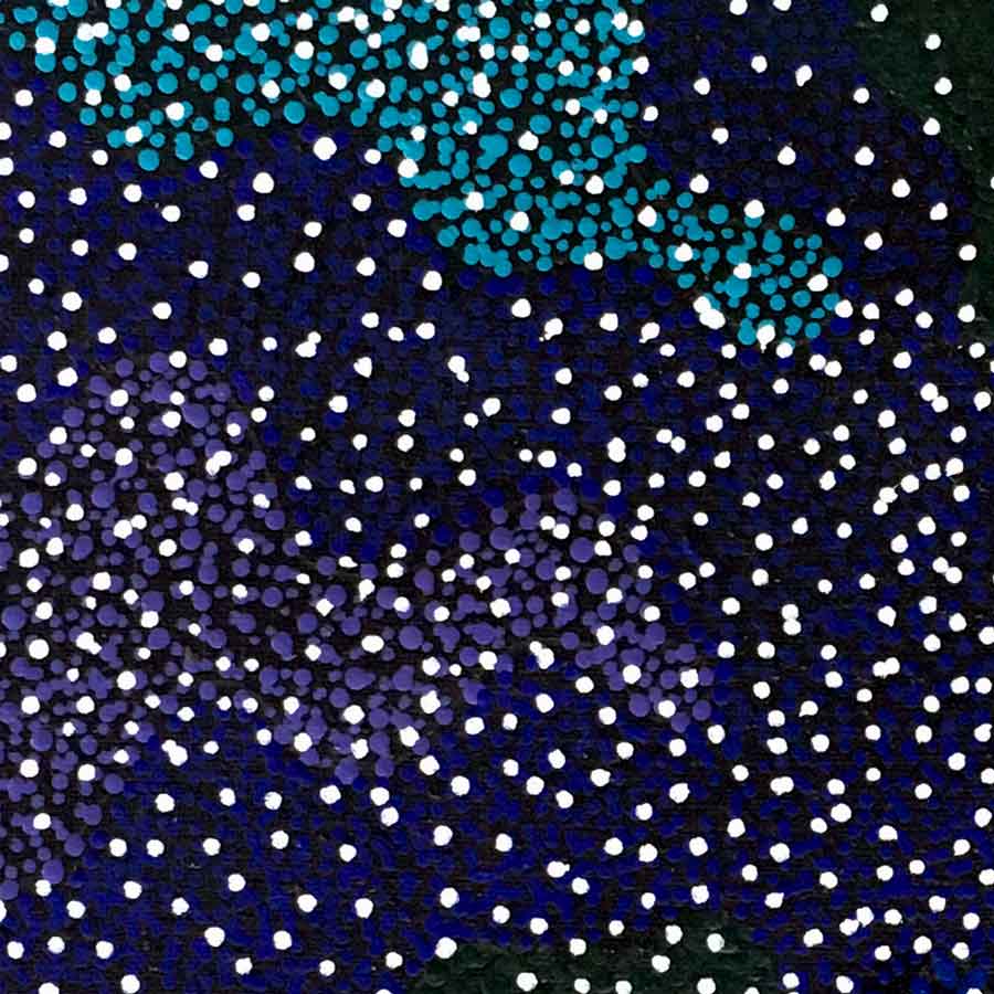 Bush Plum Dreaming von Josie Petrick Kemarre (VERKAUFT)