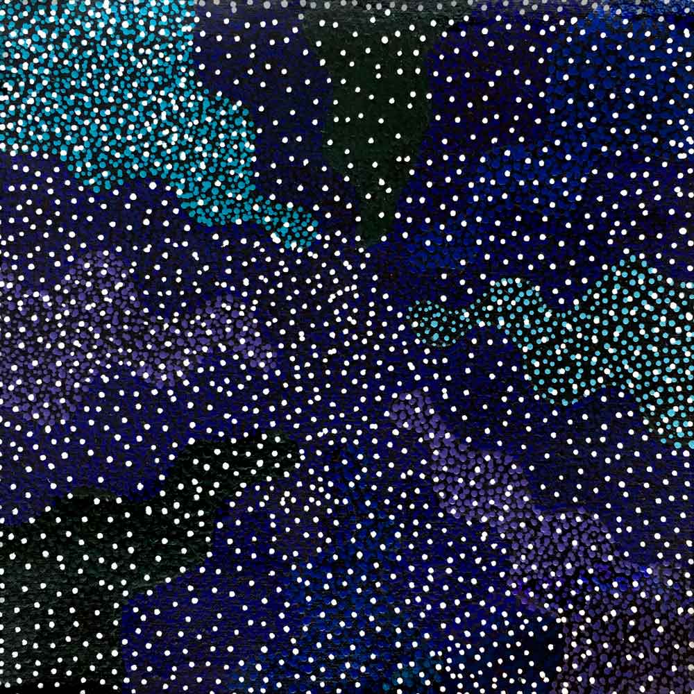 Bush Plum Dreaming von Josie Petrick Kemarre (VERKAUFT)