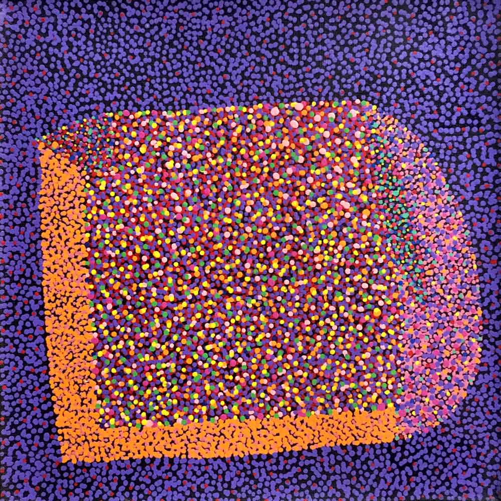 Bush Plum Dreaming von Josie Petrick Kemarre (VERKAUFT)