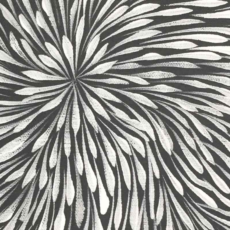 Wild Flowers by Sacha Long Petyarre by Sacha Long Petyarre, 30cm x 30cm. Australian Aboriginal Art.
