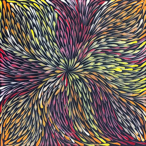 Wild Flowers by Sacha Long Petyarre by Sacha Long Petyarre, 30cm x 30cm. Australian Aboriginal Art.
